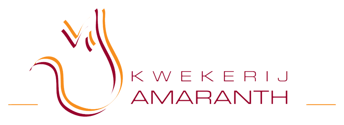 Kwekerij Amaranth