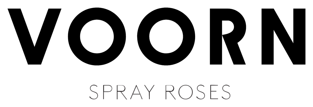 Voorn Spray Roses